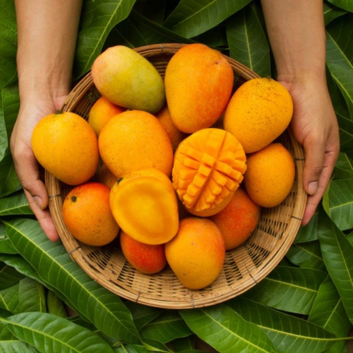 Benefits of Mangoes: Vitamin A, Sugar Content, Types